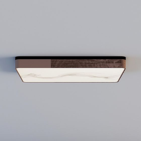 Modern Rectangular Ceiling Light 3D model