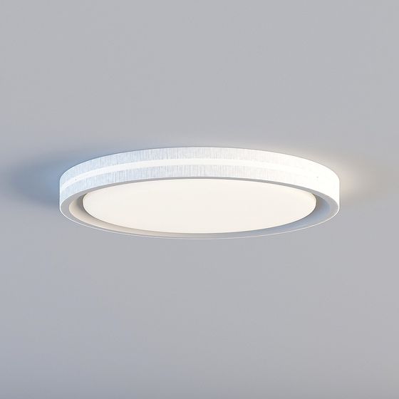 Minimalist Ceiling Light 3D model