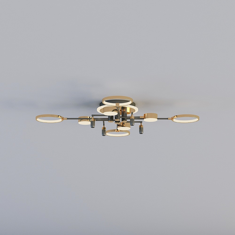 Rex Lighting Modern Simple Ceiling Light