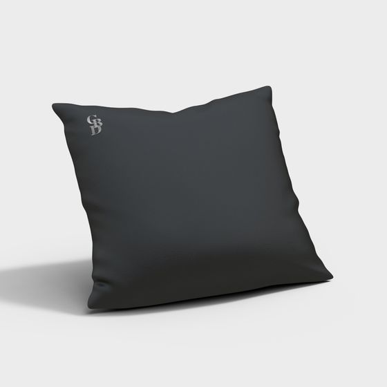 Elegant Leather Pillow 3D model
