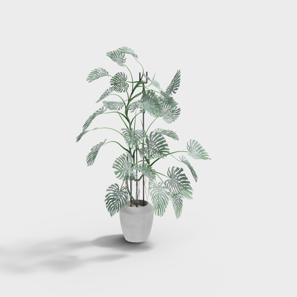 KUJIALE - Negozio di Hot Pot Moderno - Pianta Verde 04