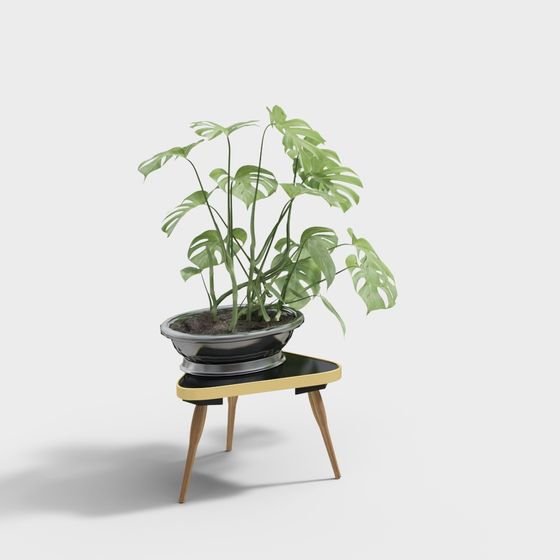 현대 뜨거운 가게 녹색 07