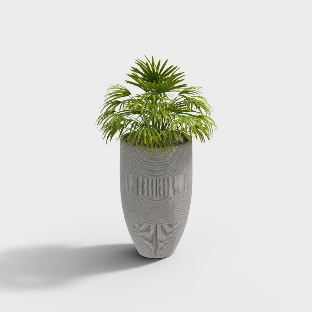 Cool Family Music - Combinazione di Piante Floreali in Vaso 193629-9