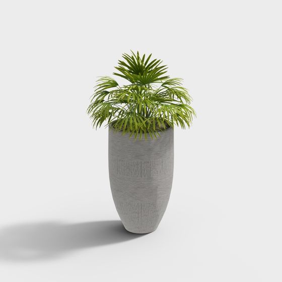 Cool Family Music - Combinazione di Piante Floreali in Vaso 193629-9