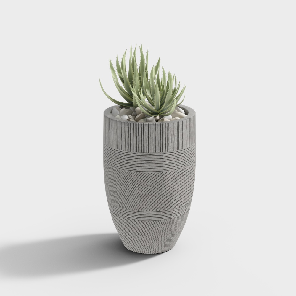 Cool Carre - Mix di Piante Floreali in Vaso 193629-8