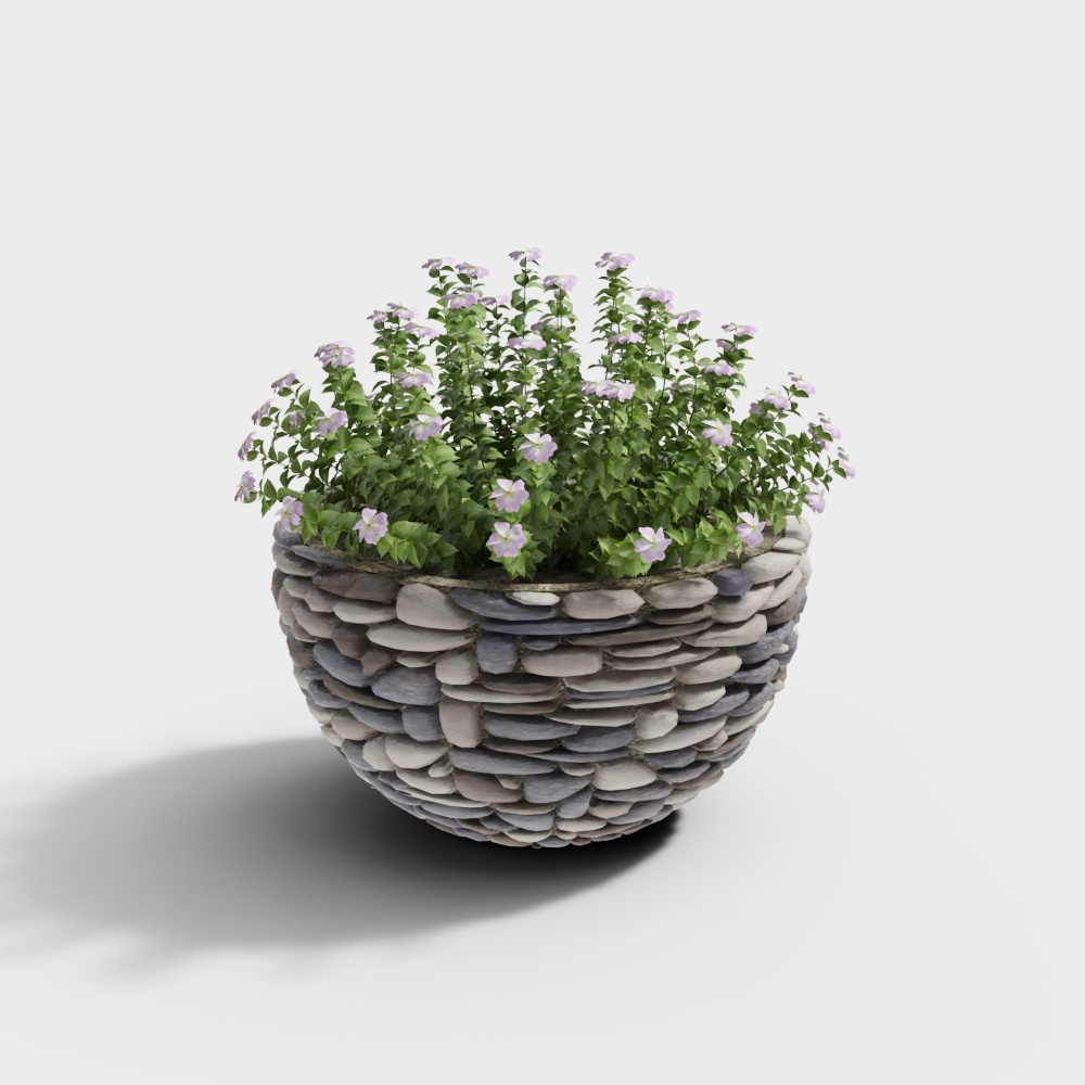 Cool Family Music - Miscela di Piante Floreali in Vaso 193629-2