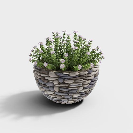 Cool Family Music - Miscela di Piante Floreali in Vaso 193629-2