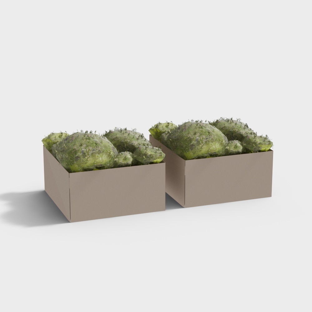 Cool Carre - Combinazione di Piante 239042-4