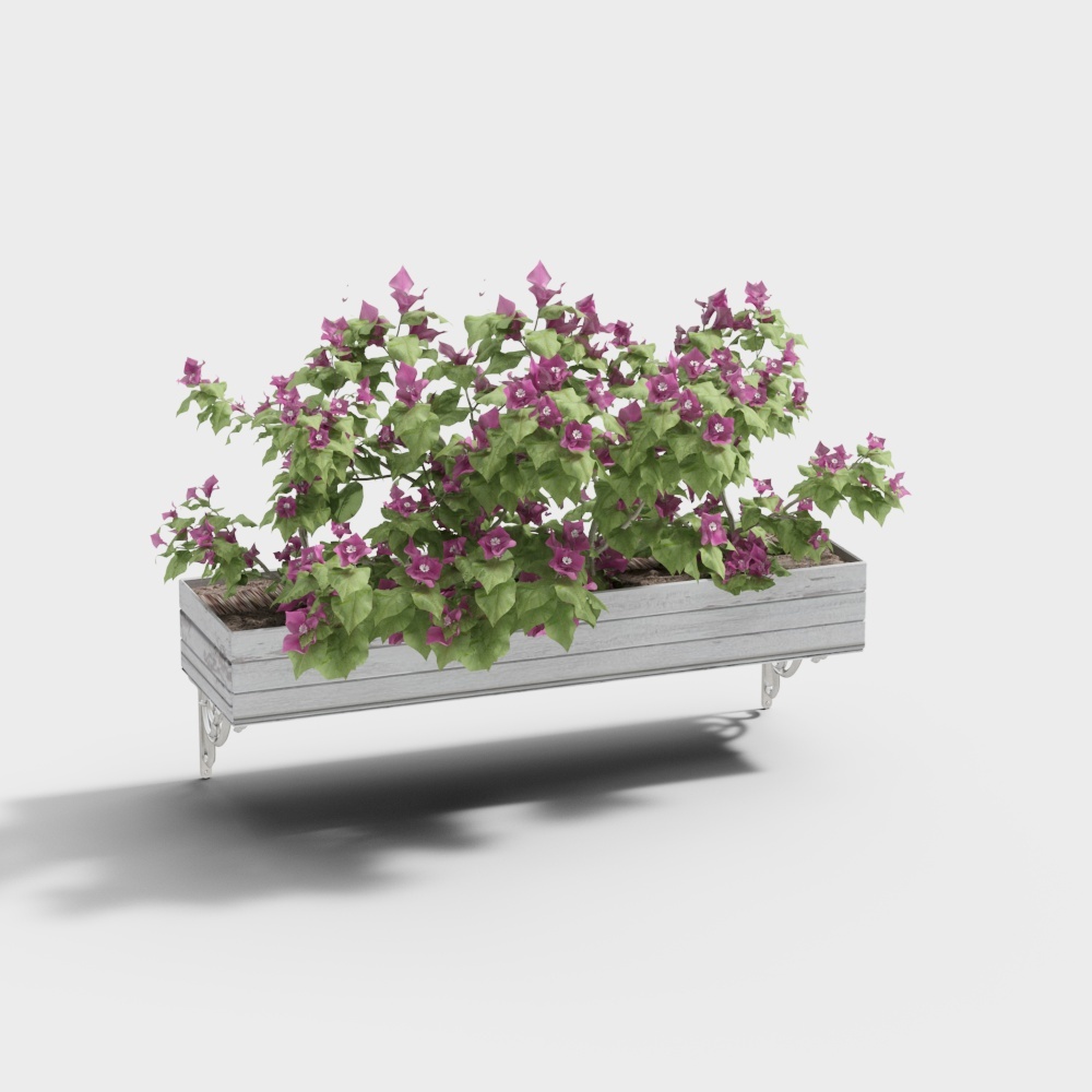 Cool Family Music - Pianta a vento appesa al muro