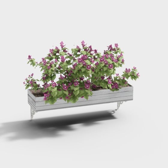 Cool Family Music - Pianta a vento appesa al muro