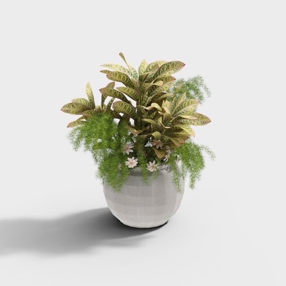 멋진 음악적 potting 혼합 313851-7