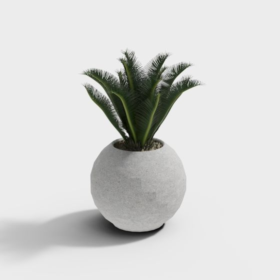 Cool House - Combinazione Moderna di Piante in Vaso 313851-1