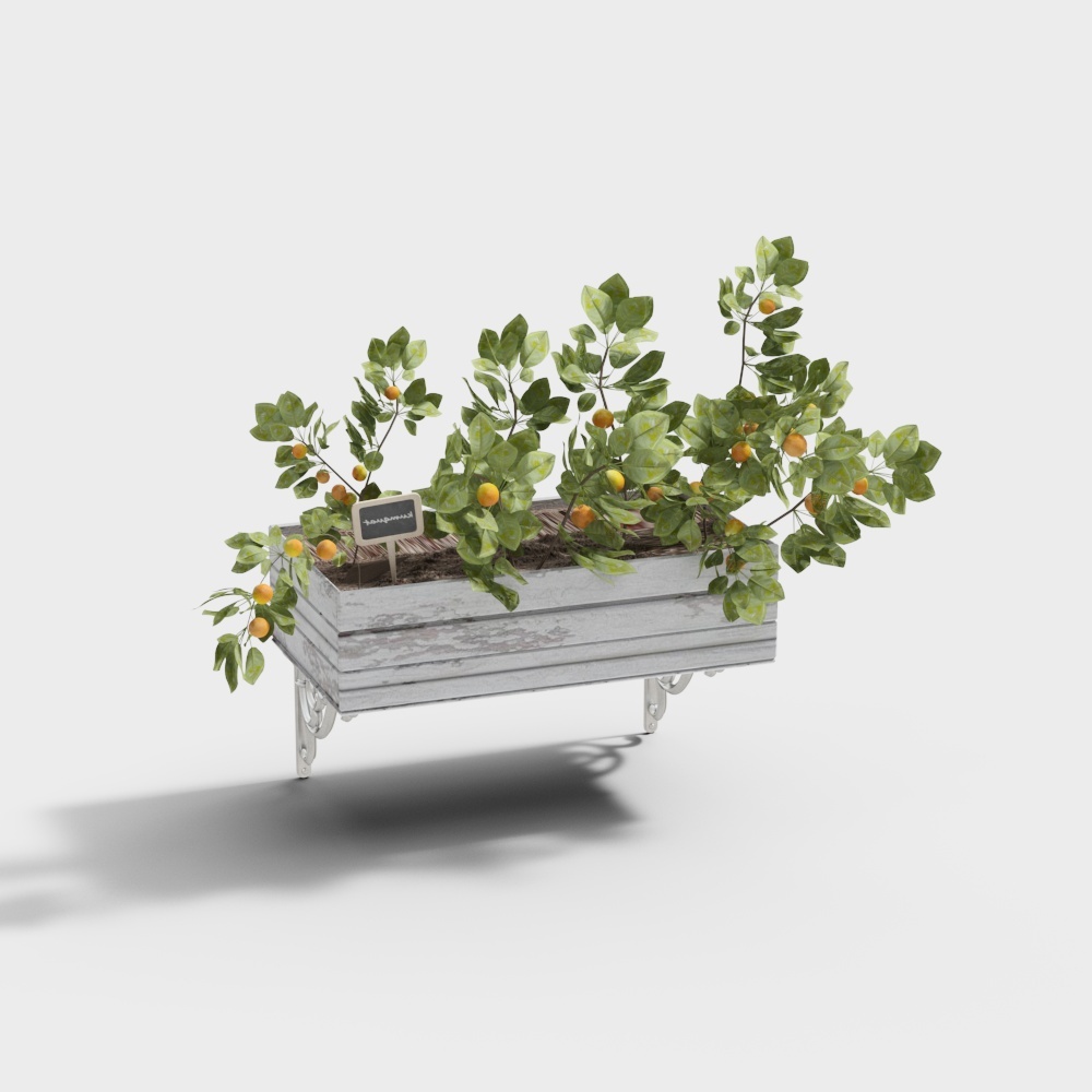 Cool Carre - Pianta di Vento da Muro Industriale