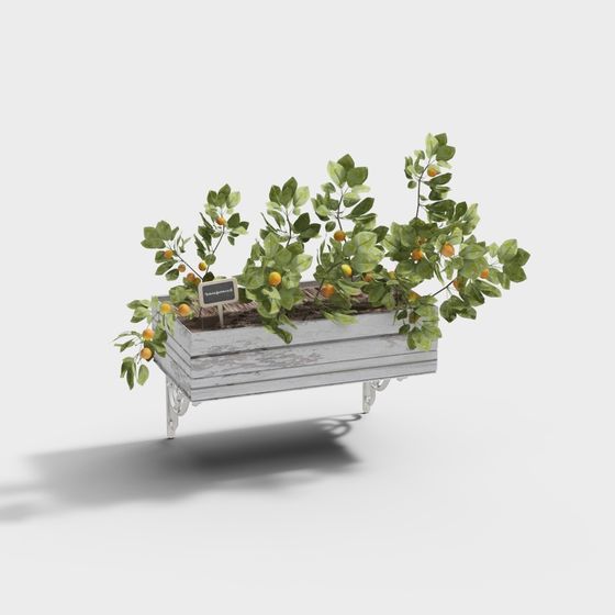 Cool Carre - Pianta di Vento da Muro Industriale