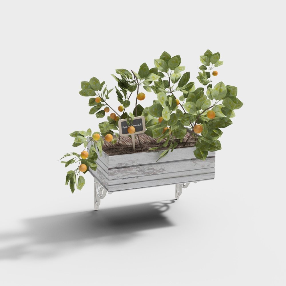 Cool Carre - Pianta di Vento da Muro Industriale