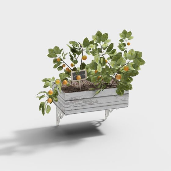 Cool Carre - Pianta di Vento da Muro Industriale