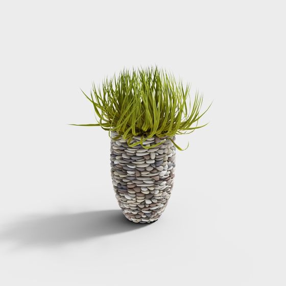 Cool Carre - Combinazione di Piante Floreali in Vaso 193629-1