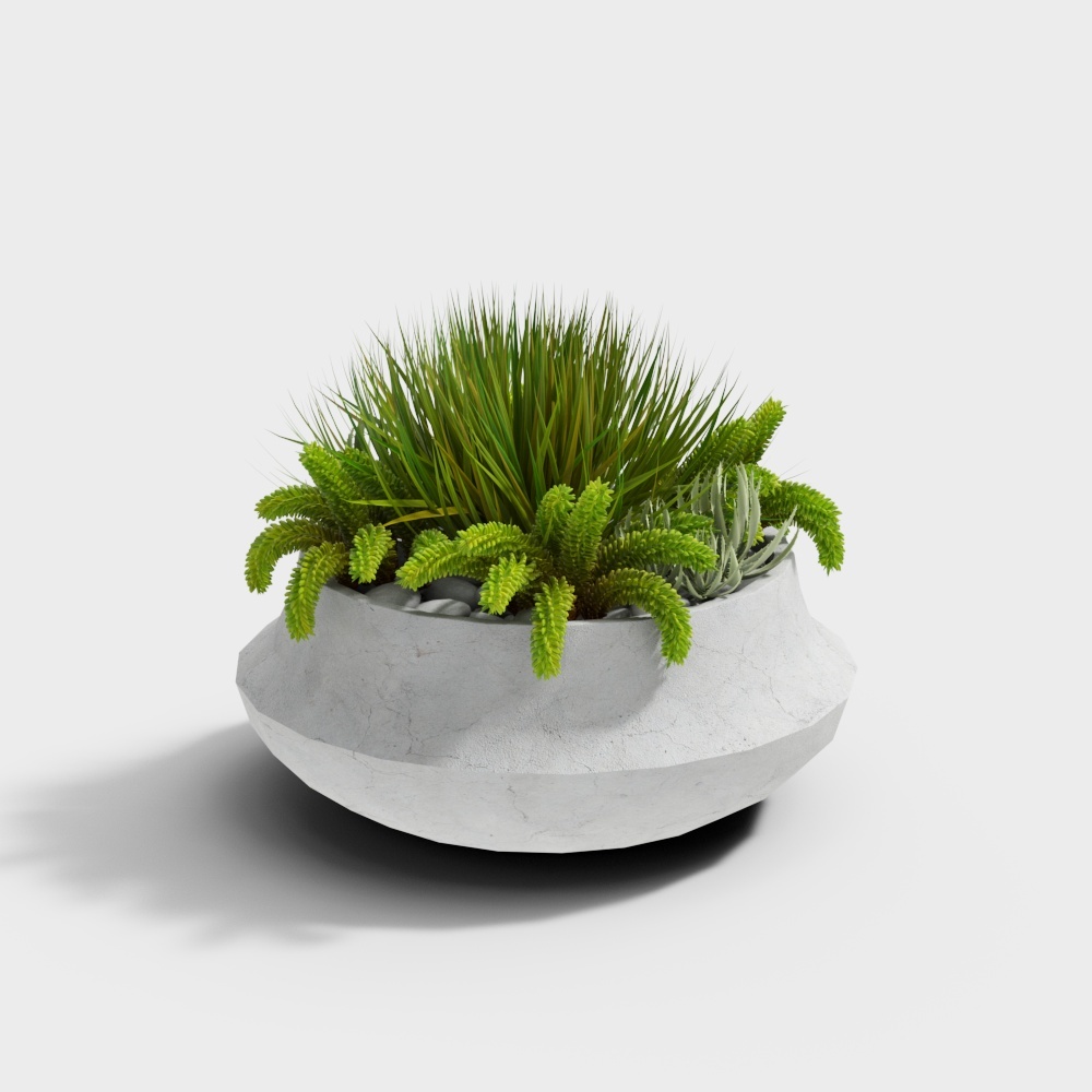 Cool House - Moderna combinación en maceta 313851-5