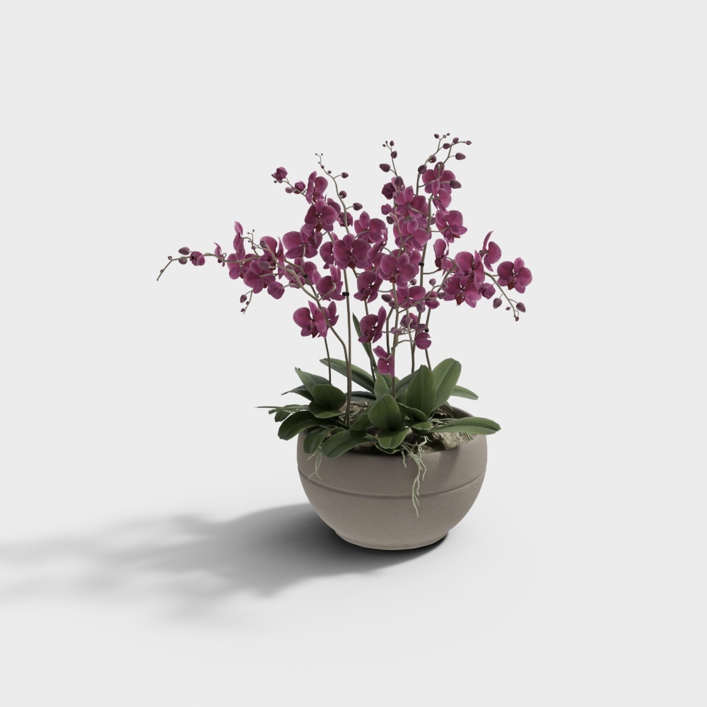 멋진 집 음악 새 중국 난초 마른 막대 조합 187458-6