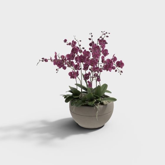 멋진 집 음악 새 중국 난초 마른 막대 조합 187458-6