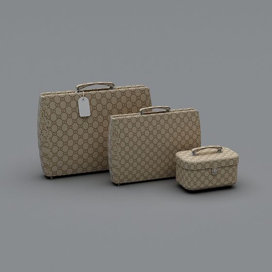 Vintage Chic Luggage Set 3D model