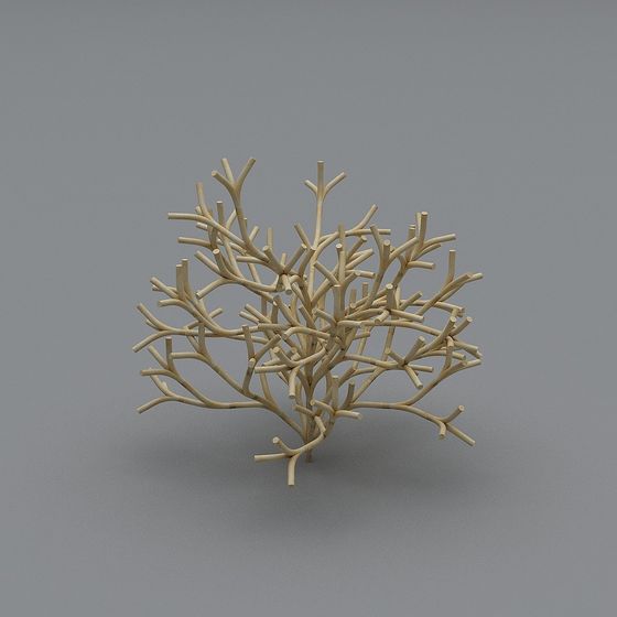 Low Poly Coral Branch 3D model