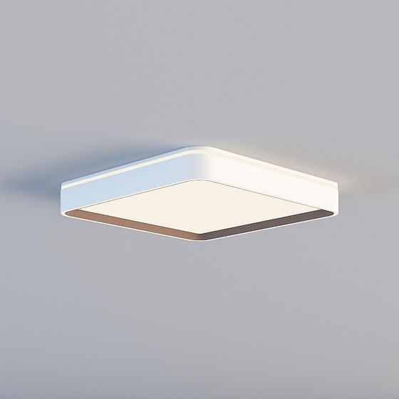 Modern Minimalist Ceiling Light 3D model