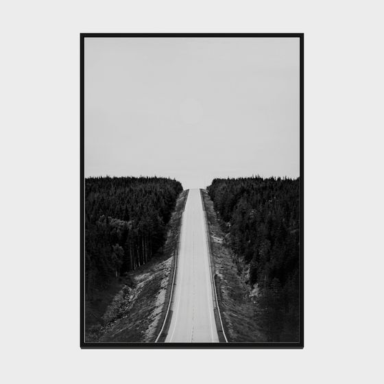 Forest Road 3D model