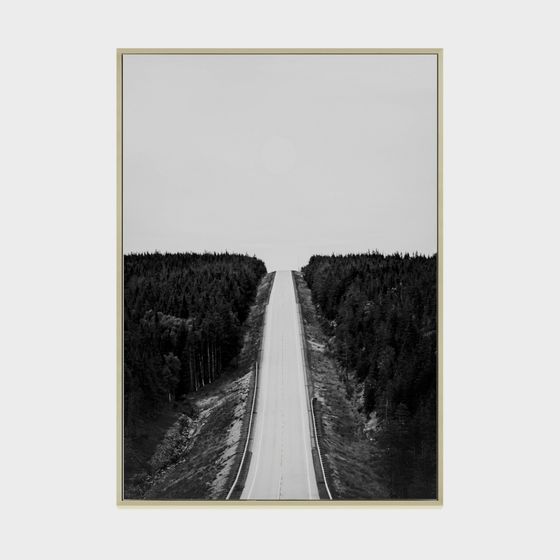 Forest Path 3D model