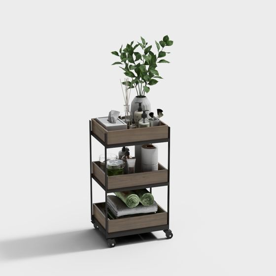 Combinaison de produits de nettoyage pour cosmétiques - Rangement étagère 2