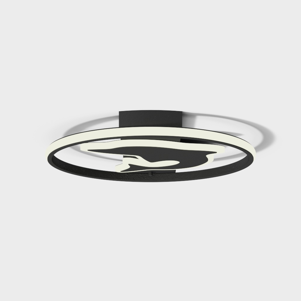 Ceiling light