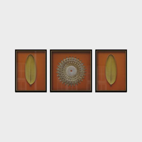 Natural Rhythm 3D Model Collection