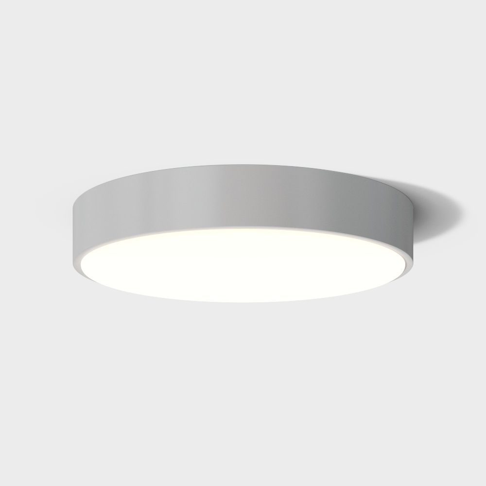 Rex Lighting Bedroom ceiling lamp 24S Silver Yue Color Series