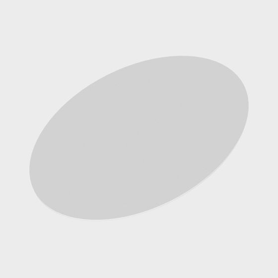 Modern Minimalist Oval Light Fixture 3D model