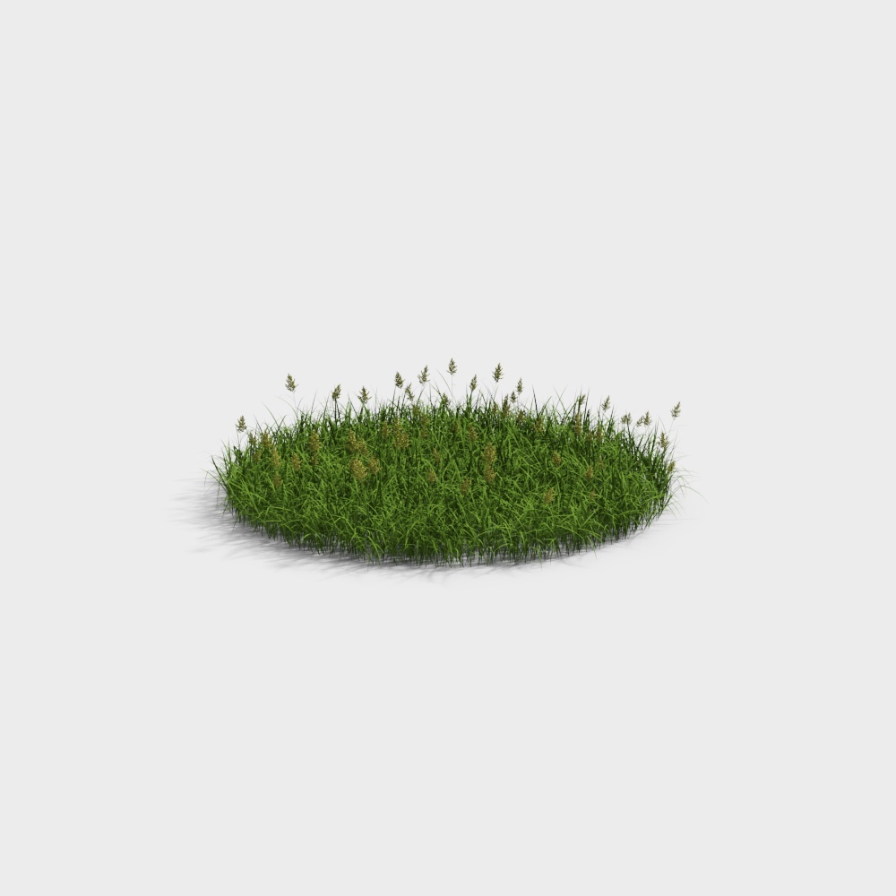Lush Low-Poly Grass 3D Model – Layered Green Textures