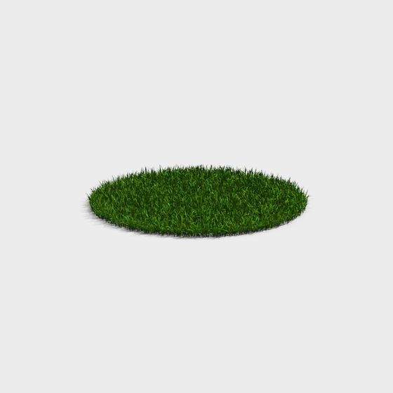 Vibrant Grass Circle 3D model