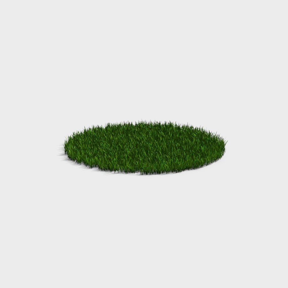 Grass