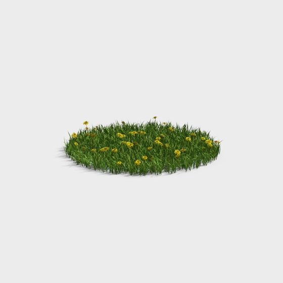Lush Grass and Daisy 3D model