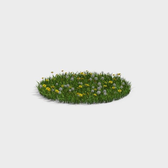 Lush Grass and Wildflowers 3D model