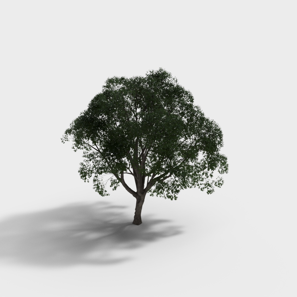 Realistic Low-Poly Tree 3D model