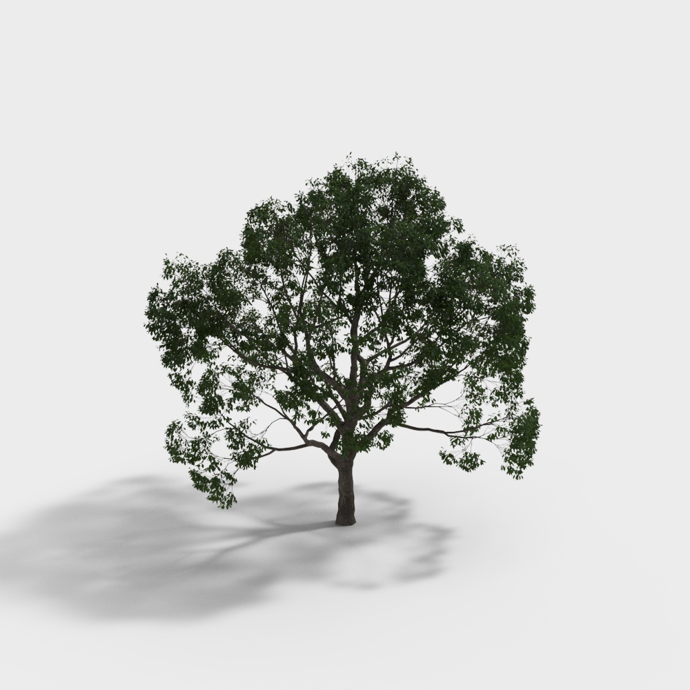 Detailed Low-Polygon 3D Tree Model