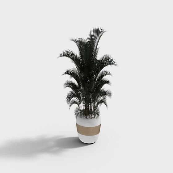 Plante verte en pot moderne 3