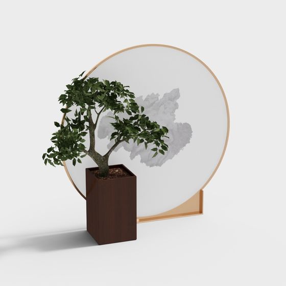 綠色植物與屏風