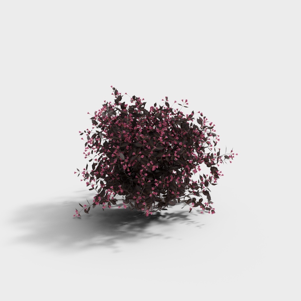 Purple Leaf Bush 3D model