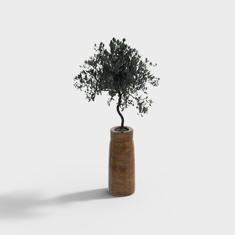 Pianta in vaso di ceramica