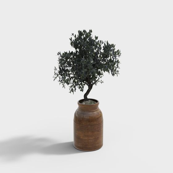 Charming Potted Olive Tree 3D model