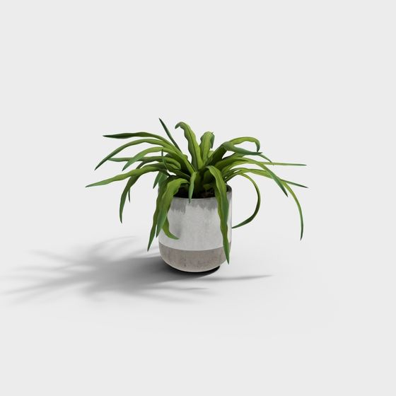 Urban Green Plant 3D Model for Designers