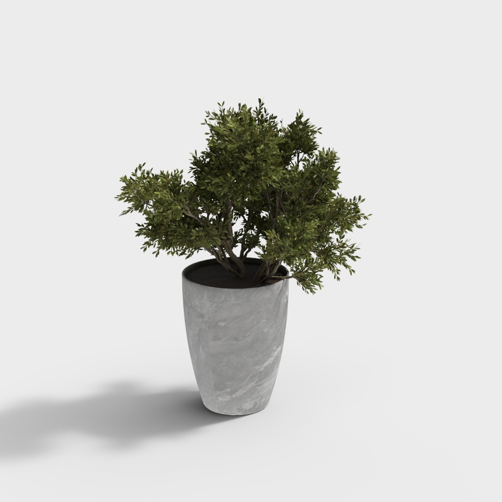 Modern potted plants