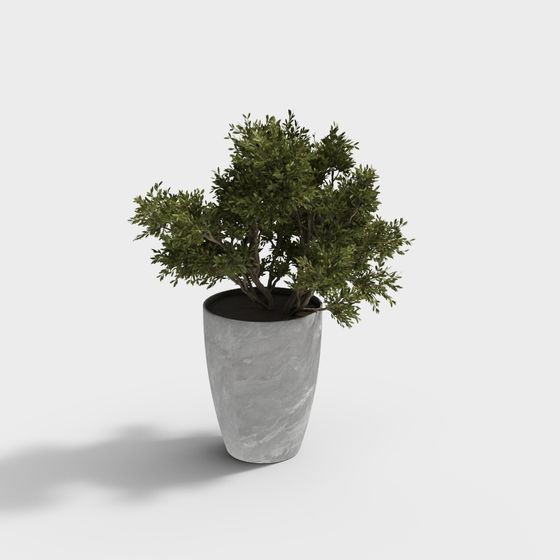 Urban Green Plant Low Poly 3D model for Creative Projects
