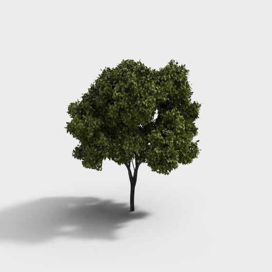 Realistic Low-Poly 3D Tree Model